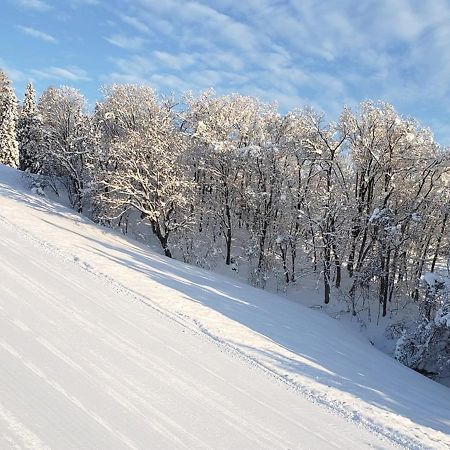 Resort Inn Murata Iiyama Екстериор снимка
